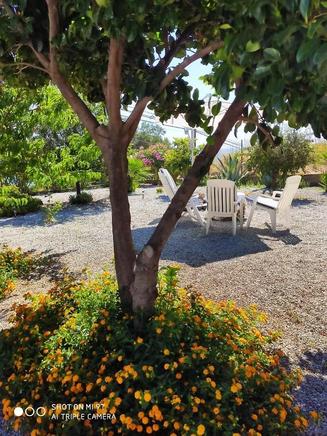 Aeolian Salina Apartments Malfa   Malfa (Salina)